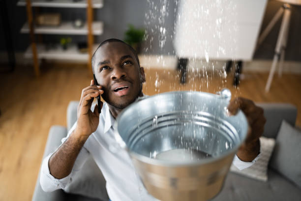 Best Water damage cleanup near me  in Malad City, ID