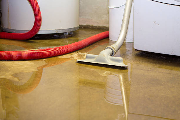 Best Mold removal after water damage  in Malad City, ID