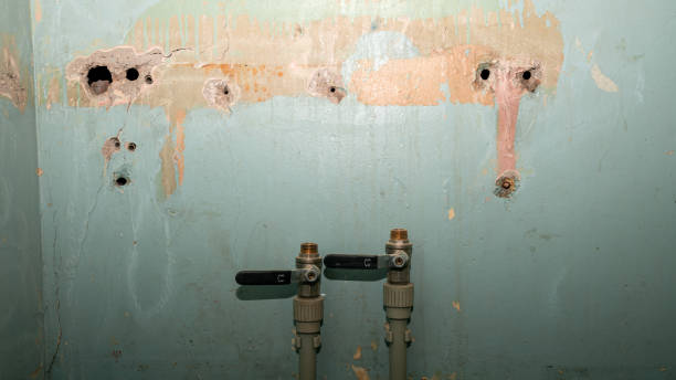 Best 24/7 water damage repair  in Malad City, ID