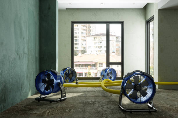 Best Water damage restoration process  in Malad City, ID