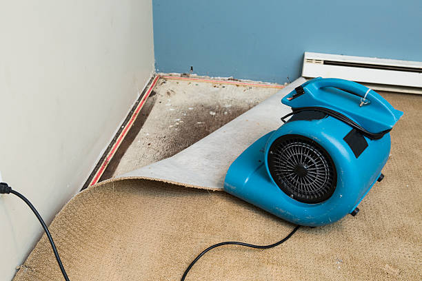 Best Local water damage restoration  in Malad City, ID